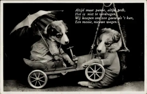 Ak Vermenschlichte Hunde, Auto, Regenschirm