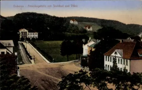 Ak Bad Doberan in Mecklenburg, Amerikagehölz mit Stahlbad, Villen