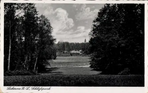 Ak Lieberose in Brandenburg, Schlosspark