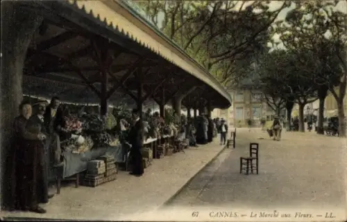 Ak Cannes Alpes Maritimes, Markt mit Blumenständen, Bäume, Personen, Stuhl