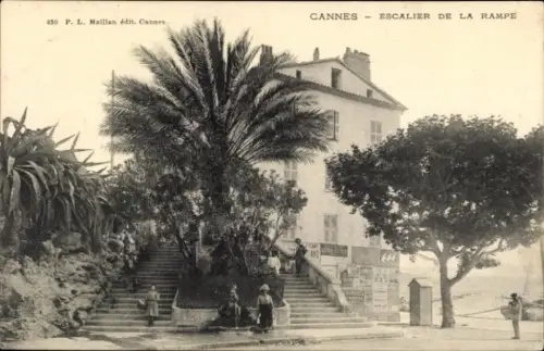Ak Cannes Alpes Maritimes, Palmen, Treppe, Gebäude, Menschen, Schwarz-Weiß