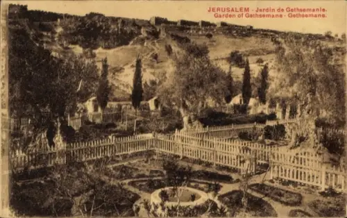 Ak Jerusalem Israel, Garten von Gethsemane