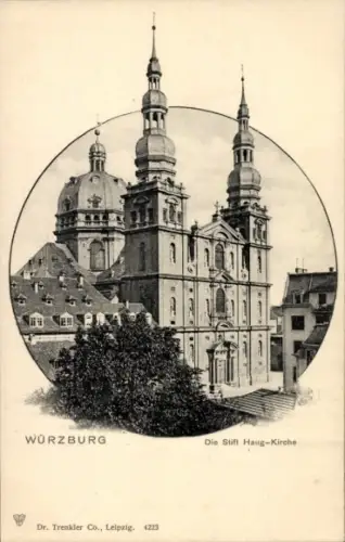 Ak Haug Würzburg am Main Unterfranken, Stift Haug, Stift Haug-Kirche, zwei Türme,  Architektur