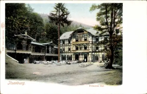 Ak Ilsenburg im Harz, Prinzess Ilse, Gasthaus