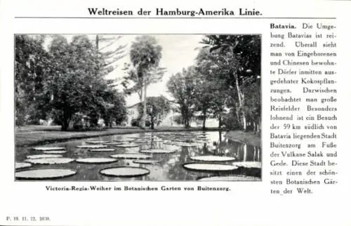 Ak Buitenzorg Bogor Java Indonesien, Weltreisen, Botanik, Victoria-Regia-Weiher, Batavia, Reis...