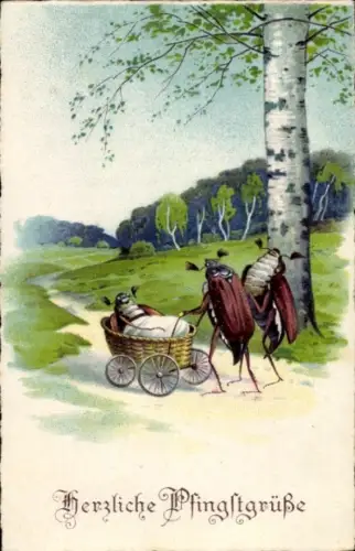 Litho Glückwunsch Pfingsten, Maikäfer, Birke