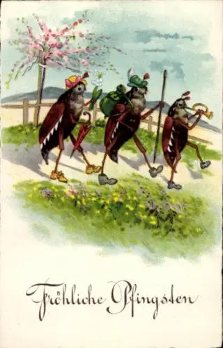 Ak Glückwunsch Pfingsten, Maikäfer