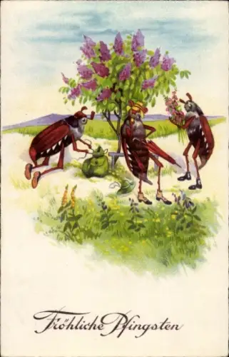 Litho Glückwunsch Pfingsten, Maikäfer, vermenschlicht