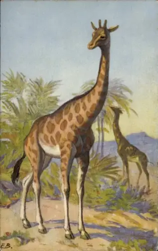 Künstler Ak Afrikanische Tierwelt, Fauna, Giraffen