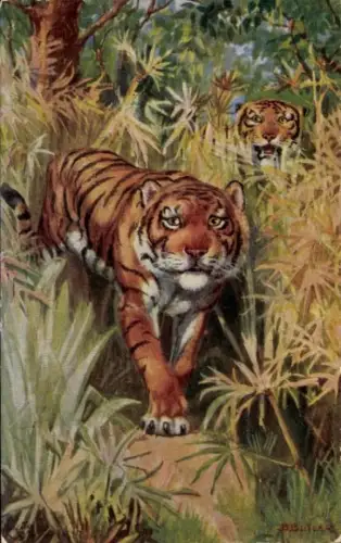 Künstler Ak Butler, B., Tiger