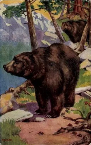Künstler Ak Butler, B., Braunbär