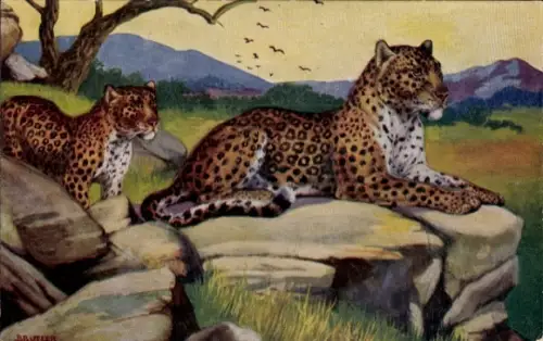 Künstler Ak Butler, B., Wild Animals, Leoparden in der Steppe, Tuck No 3001
