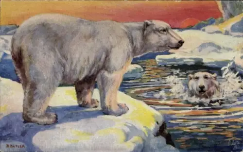 Künstler Ak Butler, B., Eisbären, Eisschollen