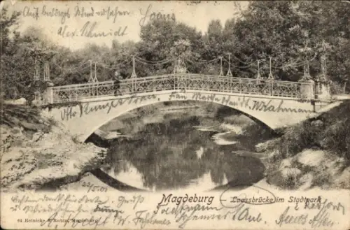 Ak Magdeburg an der Elbe,  Lassbrücke im Stadtpark