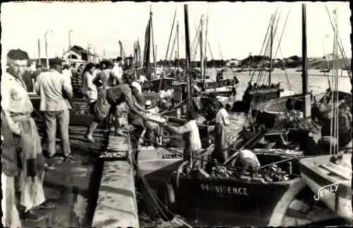 Ak Croix de Vie Vendée, Arrivee de la sardine