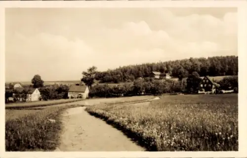Ak Ohorn in Sachsen, Landschaft, Felder, Weg, Häuser, Wald, Jugendherberge