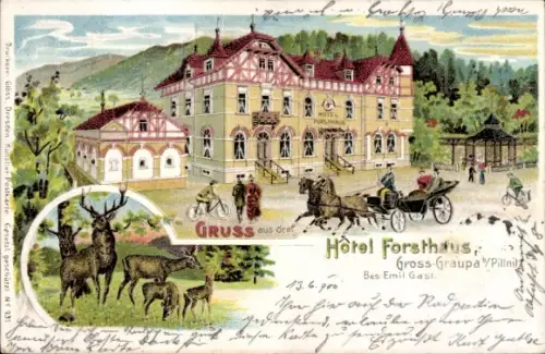 Litho Groß Graupa Pirna in Sachsen, Hotel Forsthaus, Inh. Emil Gast, Kutsche, Hirsche