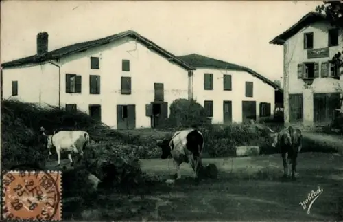Ak Ustaritz Pyrénées Atlantiques, Baskenland, baskische Häuser, Kühe