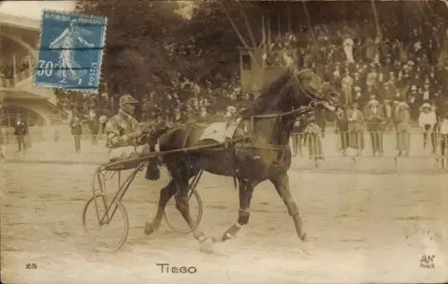 Foto Ak Trabrennen, Rennpferd Tiego, Sulky, Jockey, Zuschauertribüne, Paris