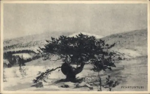 Ak Pyhätunturi Zentrallappland Finnland, Landschaft