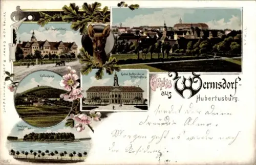 Litho Wermsdorf in Sachsen, Schloss Hubertusburg, Katholische Hofkirche, Horstsee mit Insel