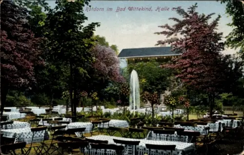 Ak Halle an der Saale, Solbad Wittekind, Rotdorn, Springbrunnen