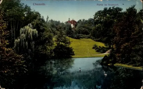 Ak Chemnitz in Sachsen,  Stadtpark, Wasserfläche, Bäume, Architektur