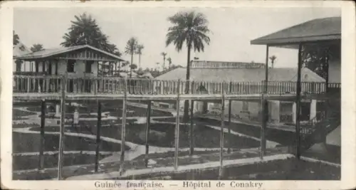 Ak Conakry Konakry Guinea, Hôpital de  Guinee française, Palmen, Gebäude
