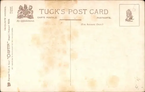 Ak Weißes Pferd, Gemaltes Porträt