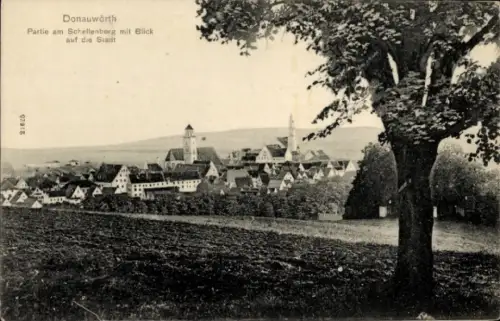 Ak Donauwörth in Schwaben Bayern, Blick auf die Stadt, Partie am Schellenberg, Bäume im Vordergru