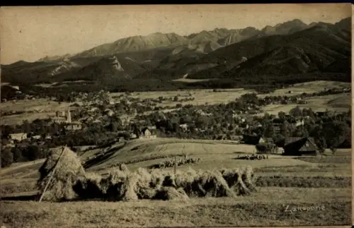 Ak Zakopane Hohe Tatra Polen, Gesamtansicht