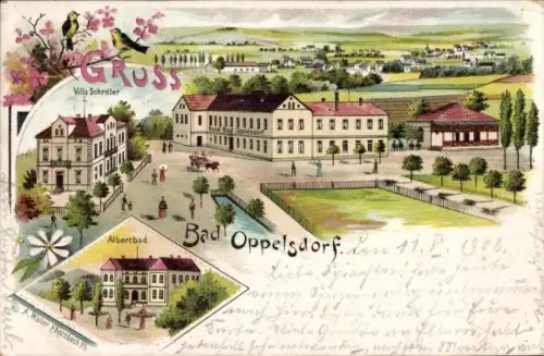 Litho Opolno Zdrój Bad Oppelsdorf Bogatynia Reichenau Schlesien, Villa Schröter, Albertbad, Panorama