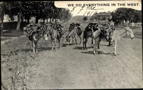 Ak Colorado USA, Esel mit Holz beladen, Wir tun alles im Westen