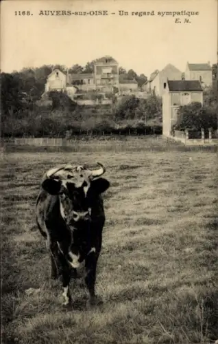 Ak Auvers sur Oise Val d'Oise, Rind auf der Wiese, Teilansicht