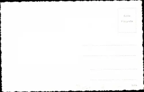 Foto Ak Frau auf einem Motorrad, Hund