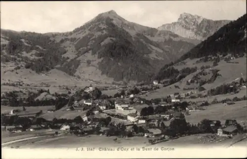 Ak Château d'Œx Oex Kanton Waadt Schweiz, Panorama