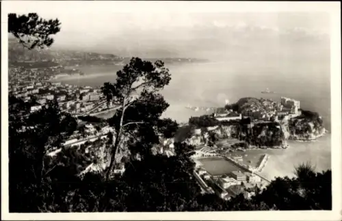 Ak Monaco, Panoramablick auf  Küste, Bäume, Festung, Meer