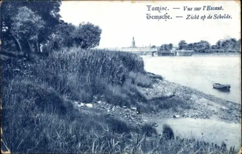 Ak Tamise Temse Temsche Ostflandern, Vue sur l'Escaut