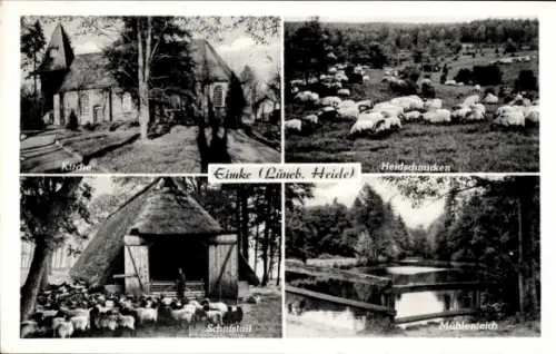 Ak Eimke in der Lüneburger Heide, Kirche, Heidschnucken, Eimke, Schafstall, Mühlenteich