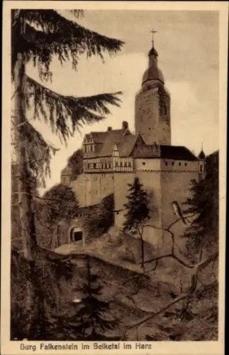 Ak Pansfelde Falkenstein im Harz, Burg Falkenstein