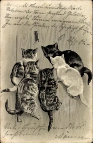 Präge Künstler Ak Katzen jagen Maus