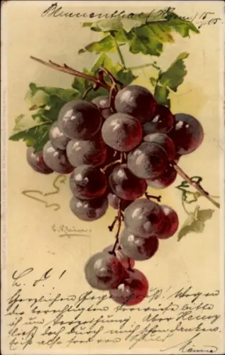 Künstler Litho Klein, Catharina, Weinrebe, Meissner & Buch 1271