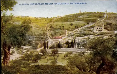 Ak Jerusalem Israel, Berg der Oliven, Garten Gethsemane, grüne Landschaft,  Stätten