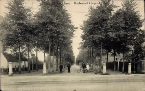 Ak Brasschaet Polygone Brasschaat Flandern Antwerpen, Boulevard Léopold, Bäume, Straßenansicht, P