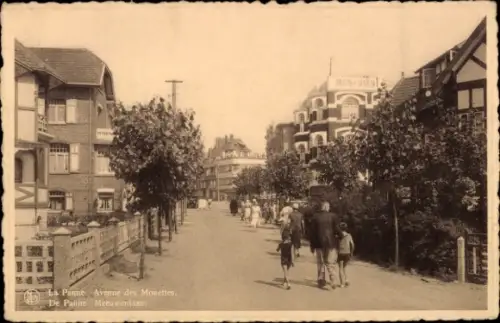 Ak La Panne De Panne Westflandern, Meeuwenlaan