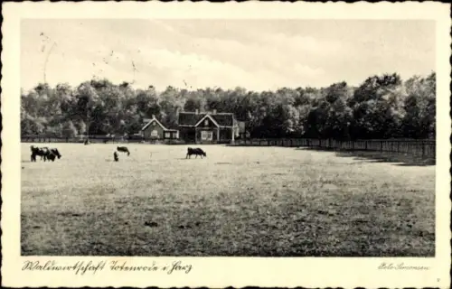 Ak Altenbrak Thale im Harz, Forsthaus Todtenrode, Waldwirtschaft