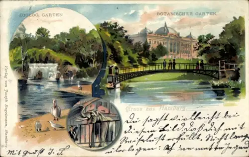 Litho Hamburg Mitte Altstadt, Zoologischer Garten, Botanischer Garten