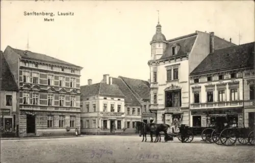 Ak Senftenberg in der Niederlausitz, Markt, Kutsche