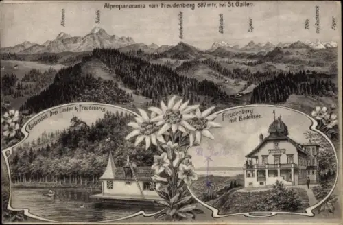 Ak St. Gallen Stadt Schweiz, Alpenpanorama, Freudenberg, Bodensee, Edelweiß