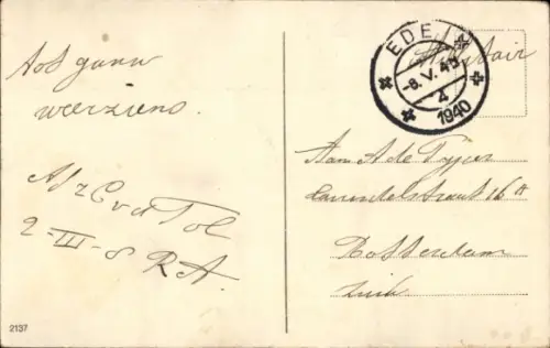 Ak Kamel, Palmen, Kollage